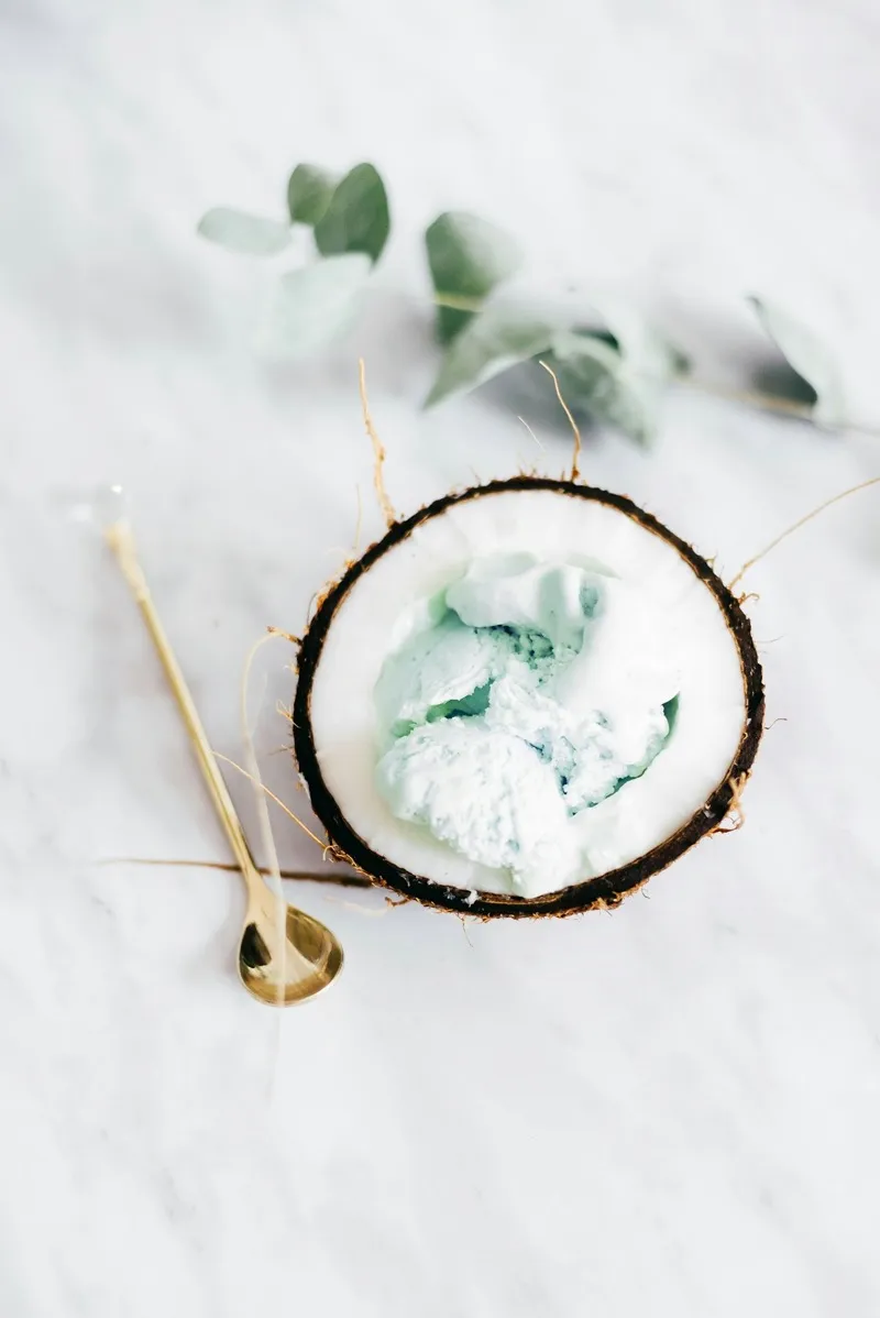 Coconut Ice Cream
